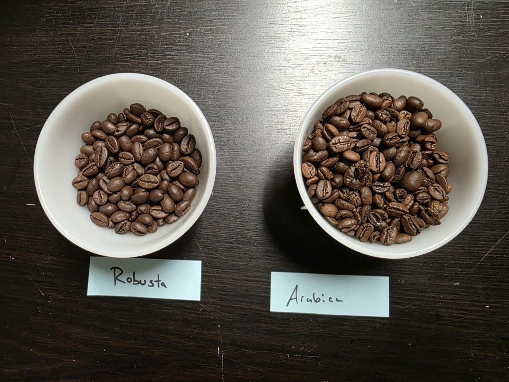 robusta coffee beans vs arabica coffee beans