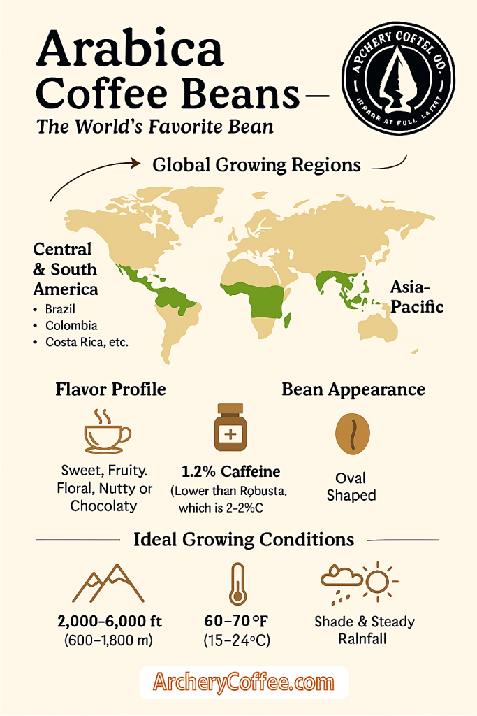 Aribica coffee beans infographic